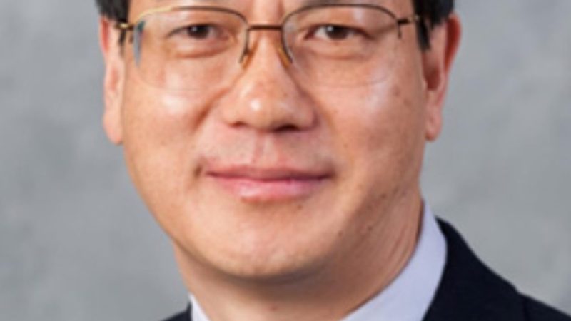 三极管定制：揭秘四川成都优质厂家背后的技术奥秘**