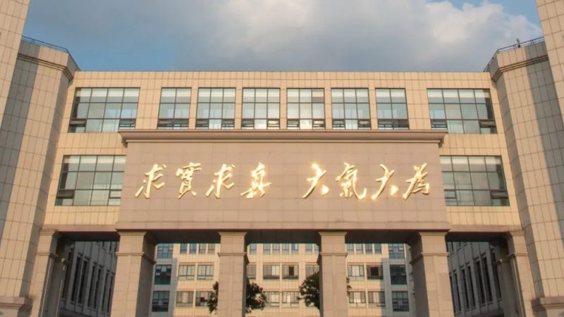 贴片插件与插件哪个更划算？揭秘成本背后的秘密