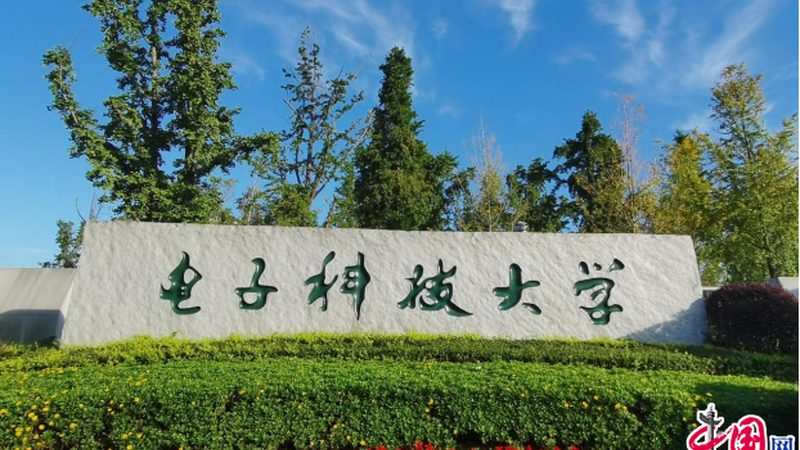 电子元件供应商资质要求：揭秘企业选择背后的逻辑