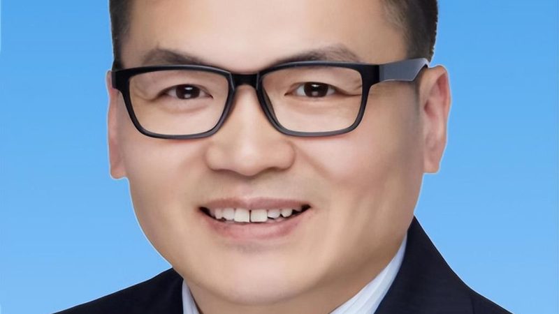 解码集成电路型号：揭秘查询技巧与要点